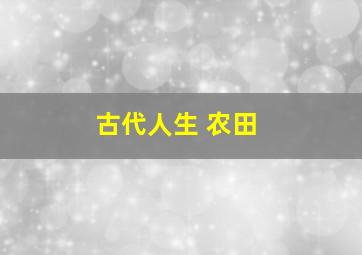 古代人生 农田